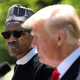 Nigerian President Muhammadu Buhari listens to U.S. president and unindicted co-conspirator Donald Trump at the White House on April 30, 2018